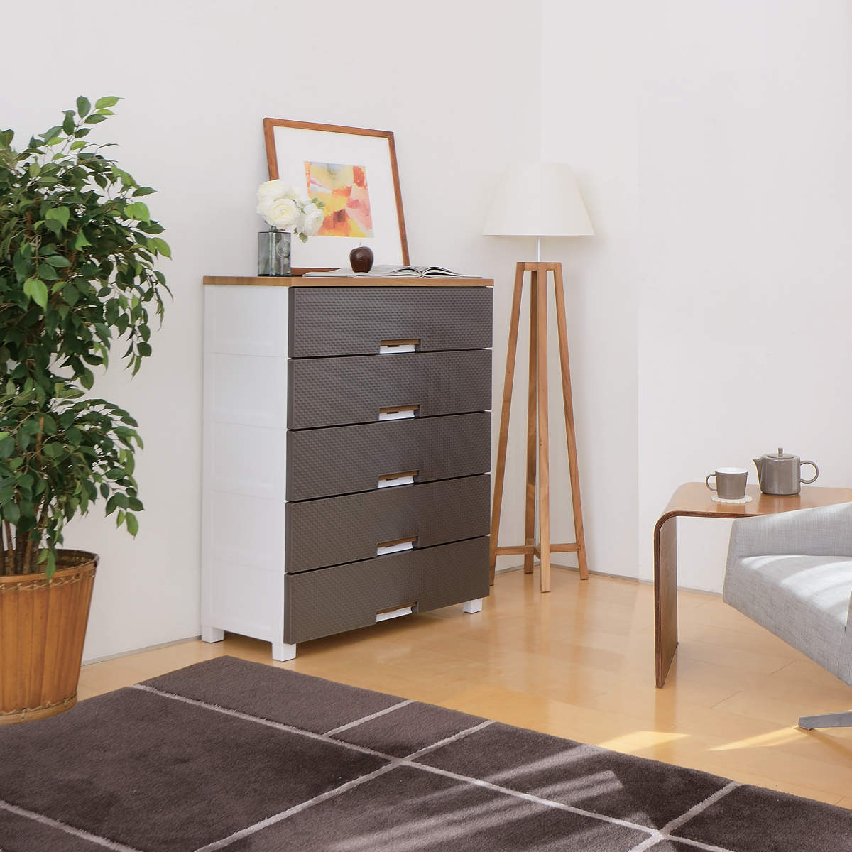 Fits チェスト フィッツプラス メッシュ 5段 幅75×奥行41×高さ105cm