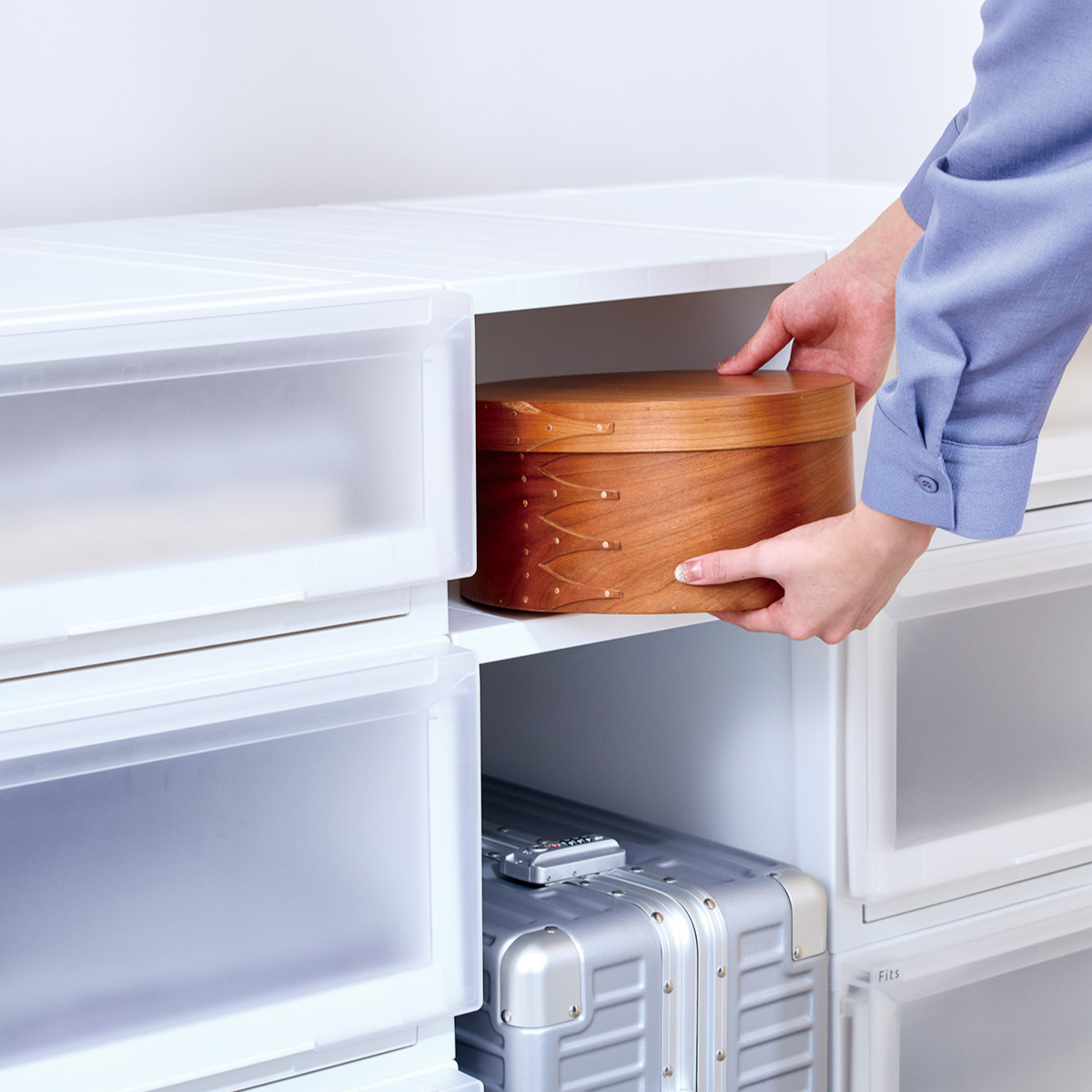 Fits 専用棚 幅30cm フィッツケース アドバンス 奥行55cm専用 フィッツ