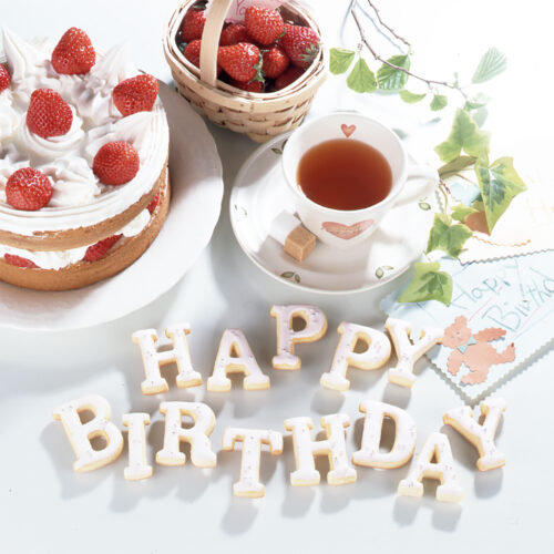 クッキー型 抜き型 アルファベット 26個セット プラスチック製