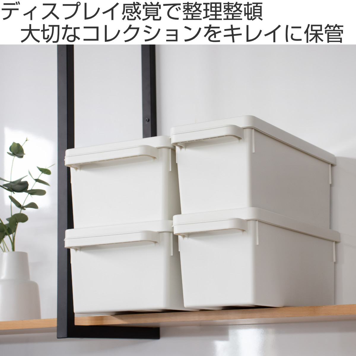マカブル 永遠の血族 DVD 新品ケース収納 Amazon.co.jp: マカブル 永遠の血族 DVD ケース収納 : パソコン