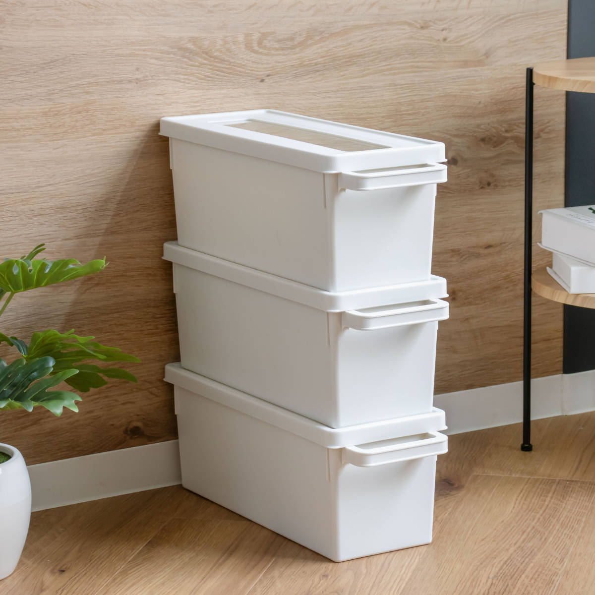 イノマタ化学 収納ケース メディアコンテナ 20個セット CD用 ホワイト