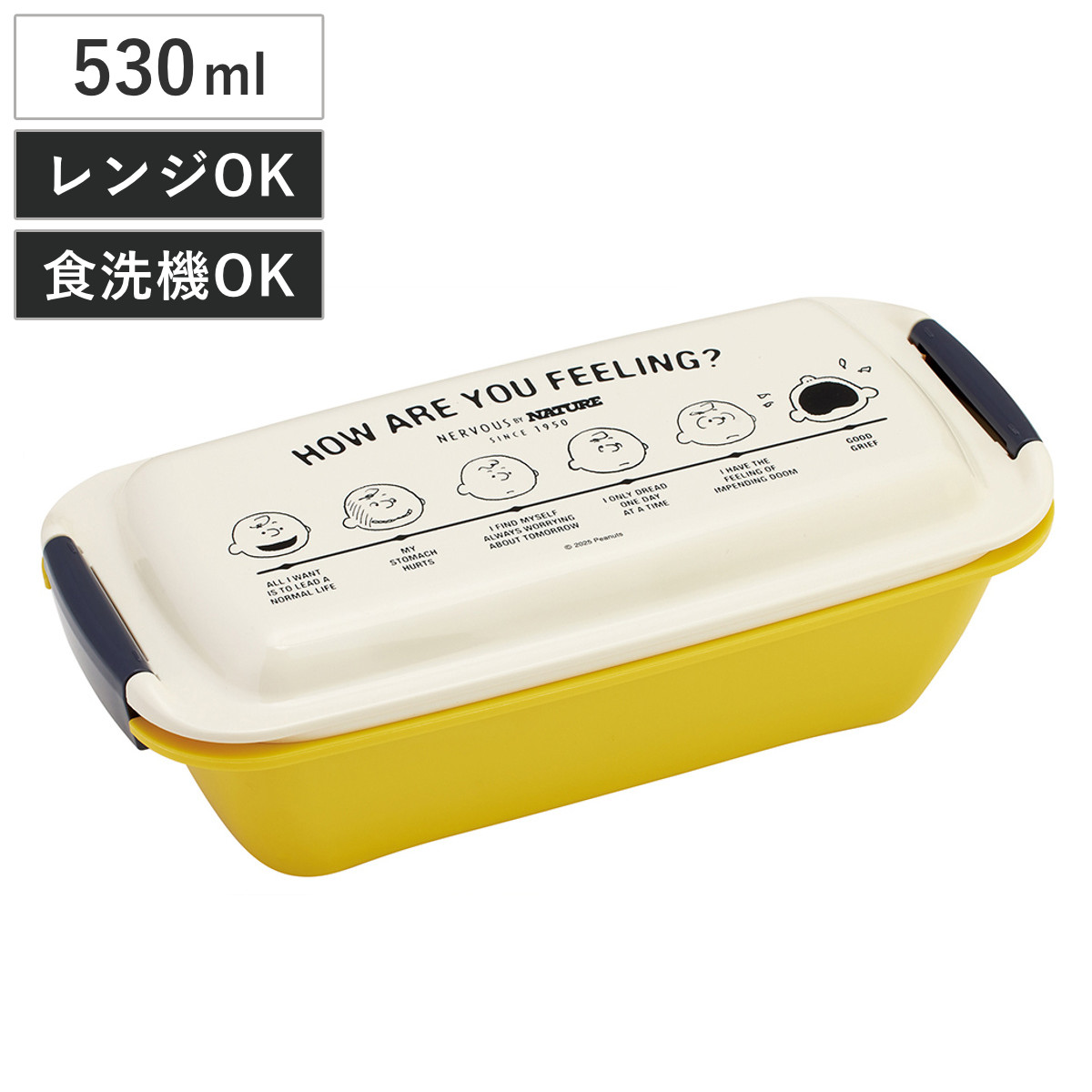 □在庫限り・入荷なし□お弁当箱 ポケットモンスター XY ふわっと弁当