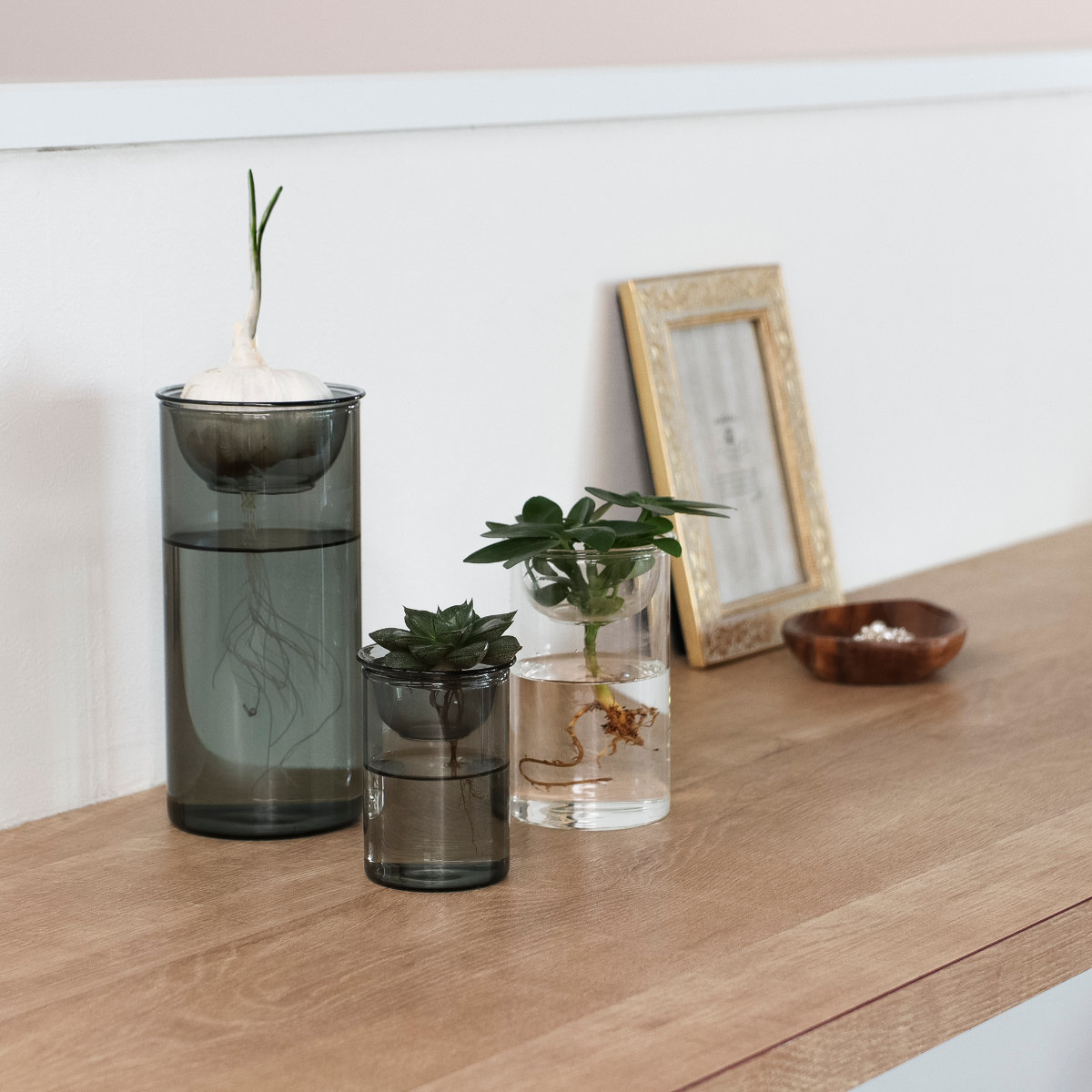 花瓶 MINI BULB VASE 水栽培ガラスベース 11cm 水耕栽培 （ 花器