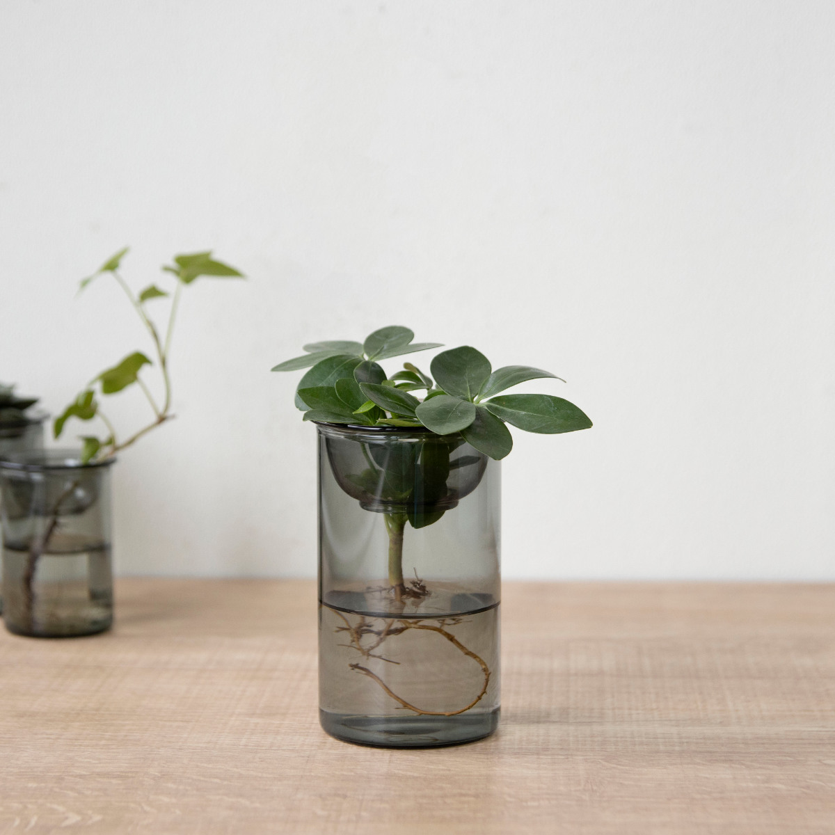 花瓶 MINI BULB VASE 水栽培ガラスベース 11cm 水耕栽培 （ 花器