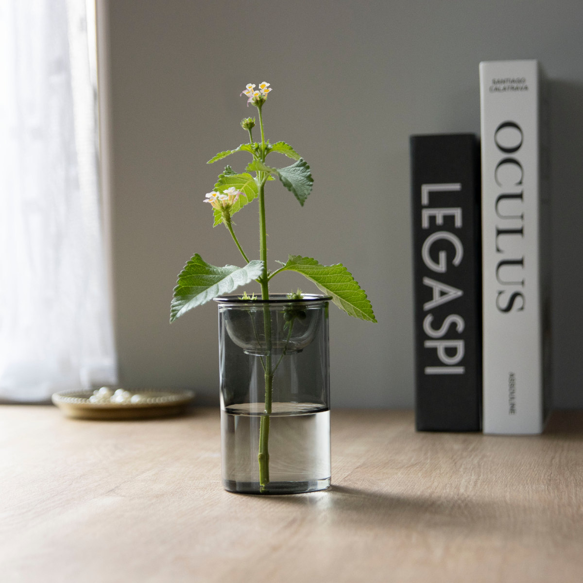 花瓶 MINI BULB VASE 水栽培ガラスベース 11cm 水耕栽培 （ 花器