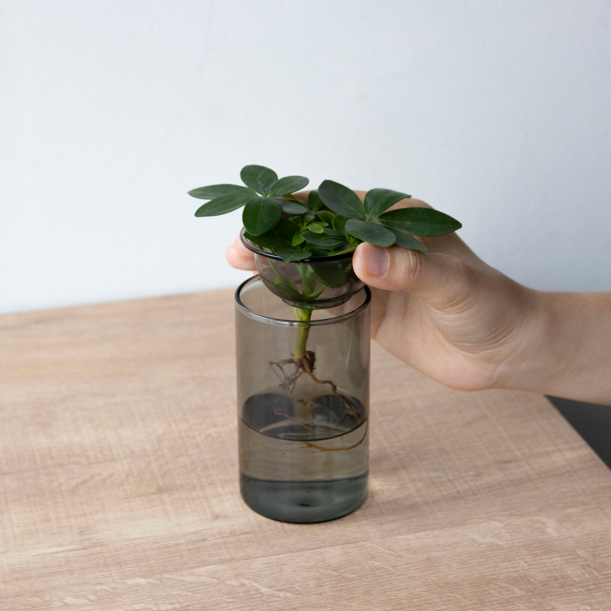 花瓶 MINI BULB VASE 水栽培ガラスベース 11cm 水耕栽培 （ 花器