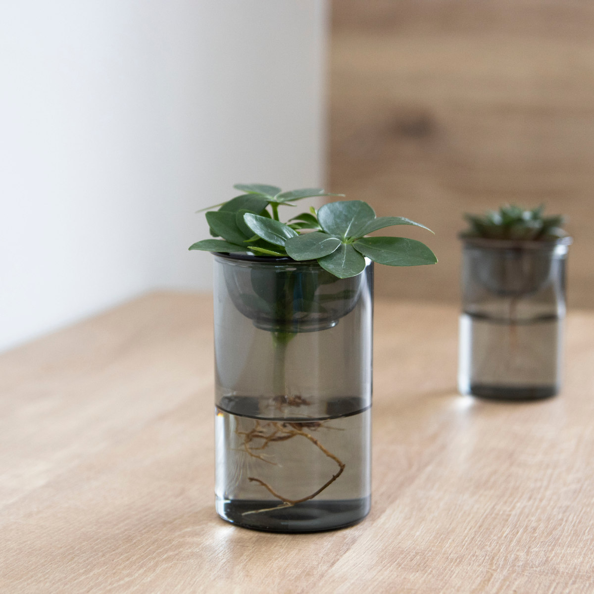 花瓶 MINI BULB VASE 水栽培ガラスベース 7cm 水耕栽培 （ 花器 ガラス 
