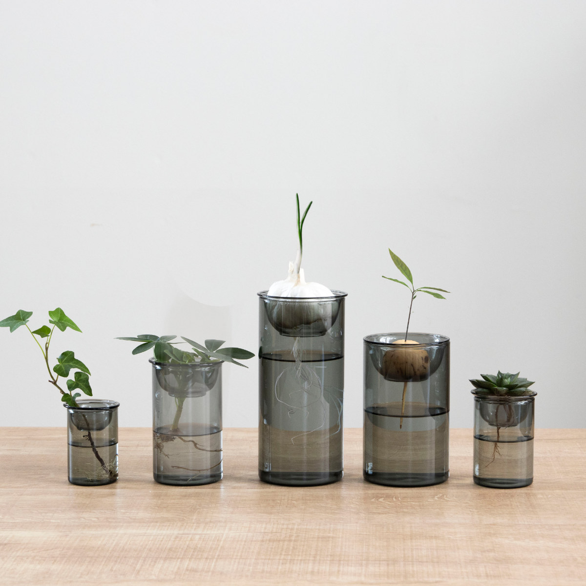花瓶 MINI BULB VASE 水栽培ガラスベース 7cm 水耕栽培 （ 花器 ガラス