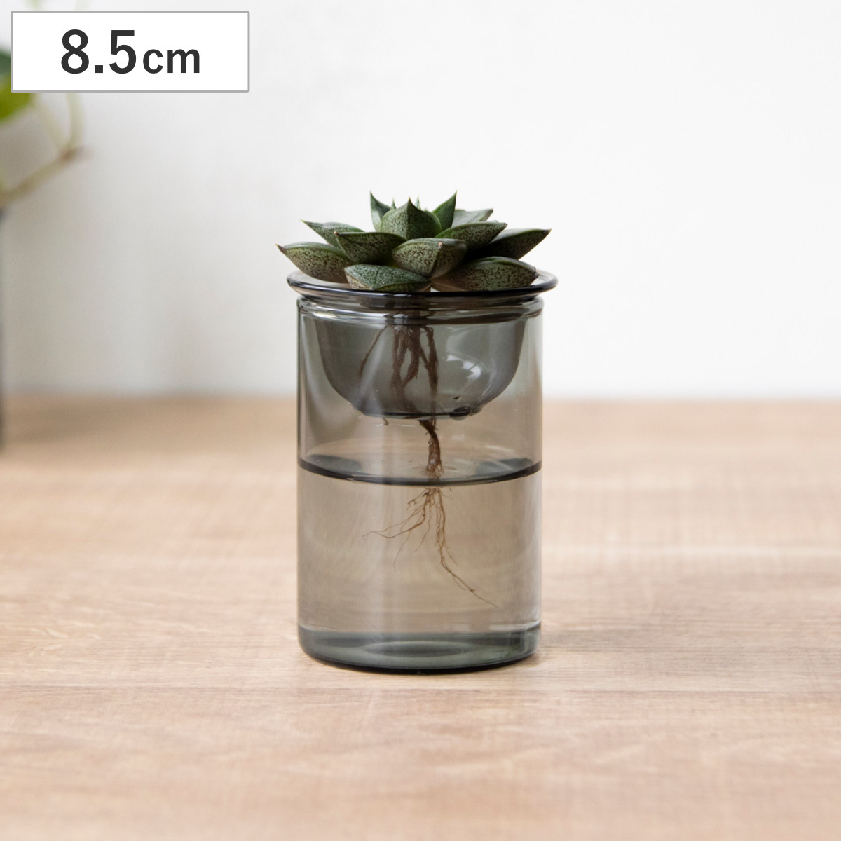 グレー 波形花器 花瓶 MINI BULB VASE 水栽培ガラスベース 8.5cm 水耕栽培 （ 花器