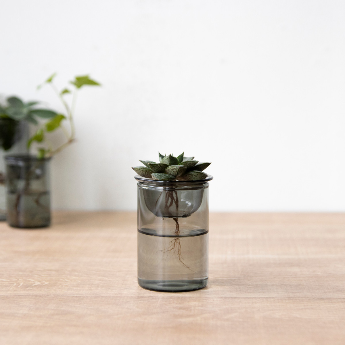 花瓶 MINI BULB VASE 水栽培ガラスベース 8.5cm 水耕栽培 （ 花器