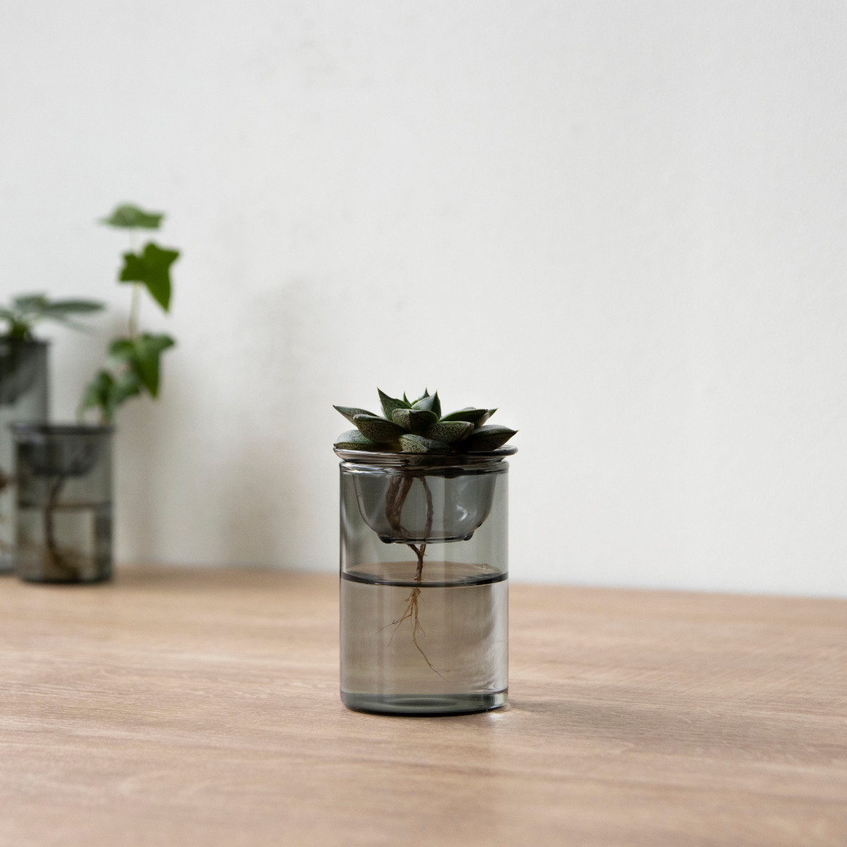 花瓶 MINI BULB VASE 水栽培ガラスベース 8.5cm 水耕栽培 （ 花器