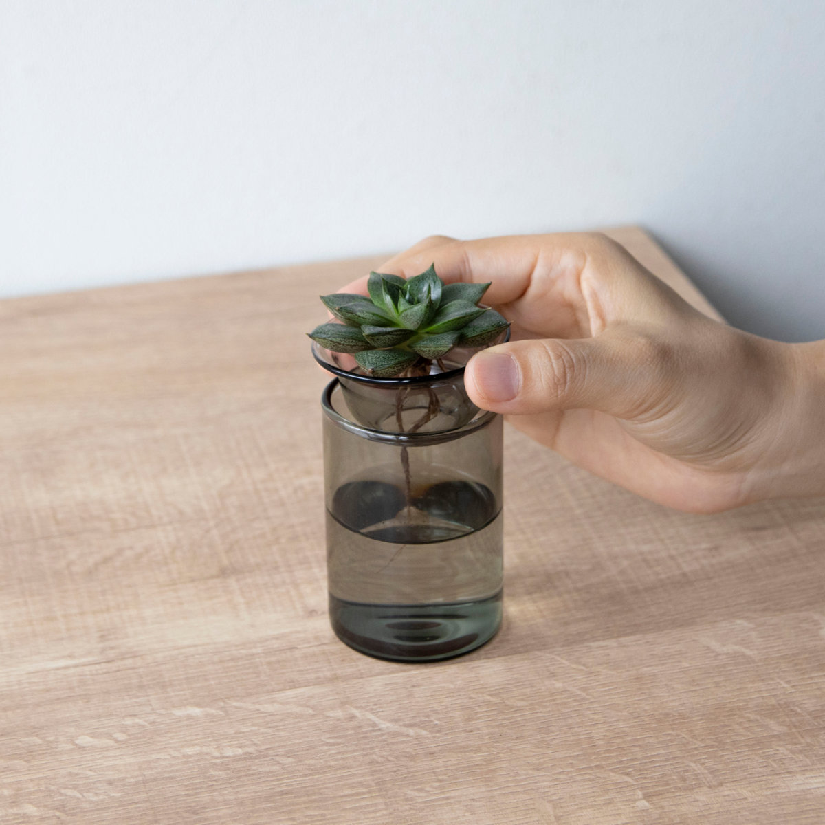 花瓶 MINI BULB VASE 水栽培ガラスベース 8.5cm 水耕栽培 （ 花器