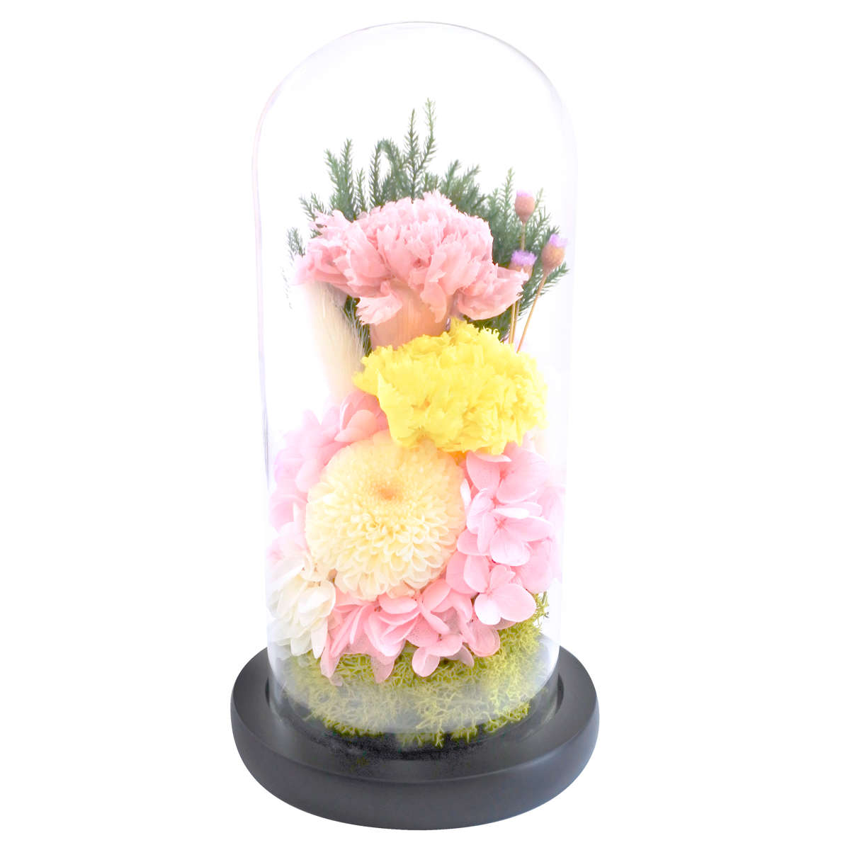 供え花 仏花 ガラスドームアレンジメント プリザーブドフラワー 日々華