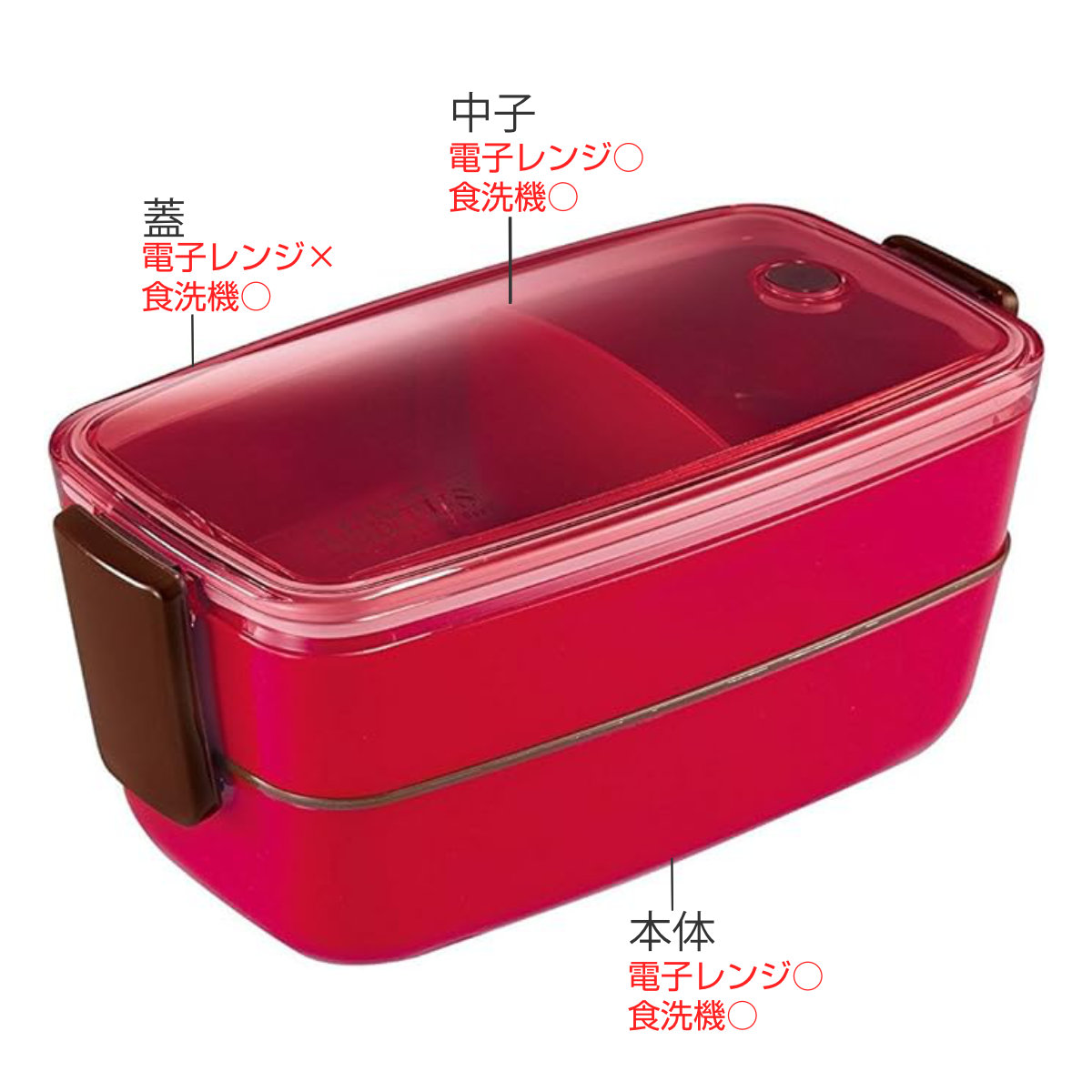 アスベル（ASVEL） 弁当箱 570ml Cランタス 2段ランチボックス （ お