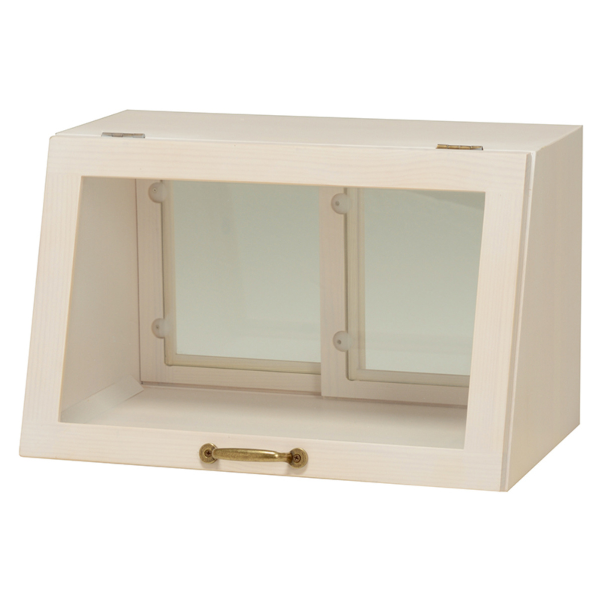 HAGiHARA（萩原） ガラスケース 幅40cm 1段 カウンター上収納 ラック