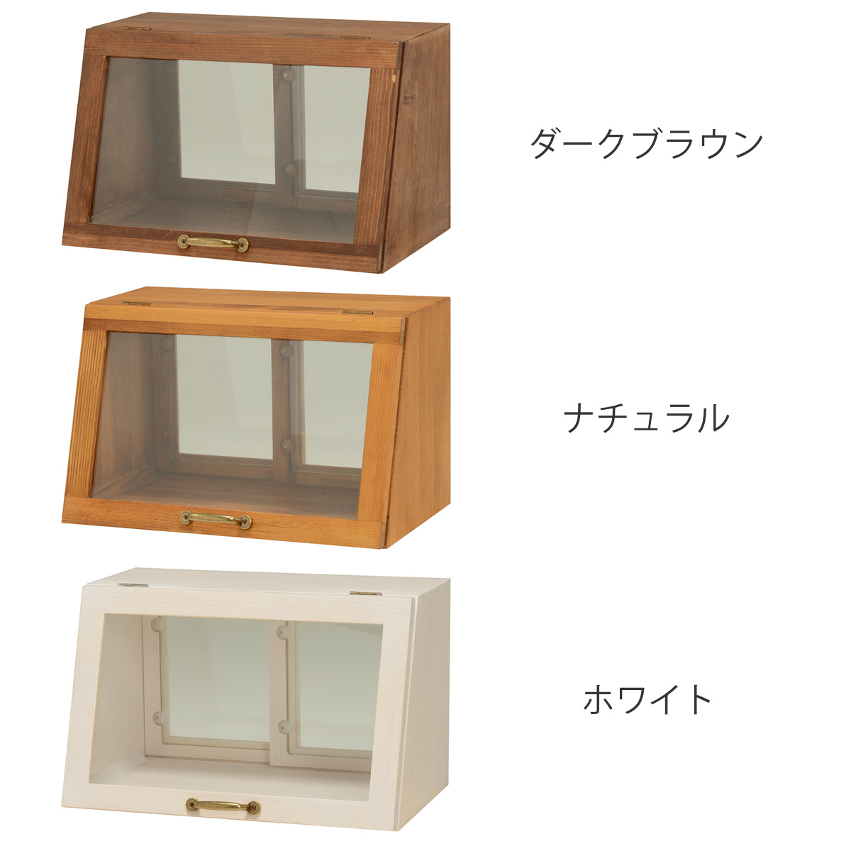 HAGiHARA（萩原） ガラスケース 幅40cm 1段 カウンター上収納 ラック