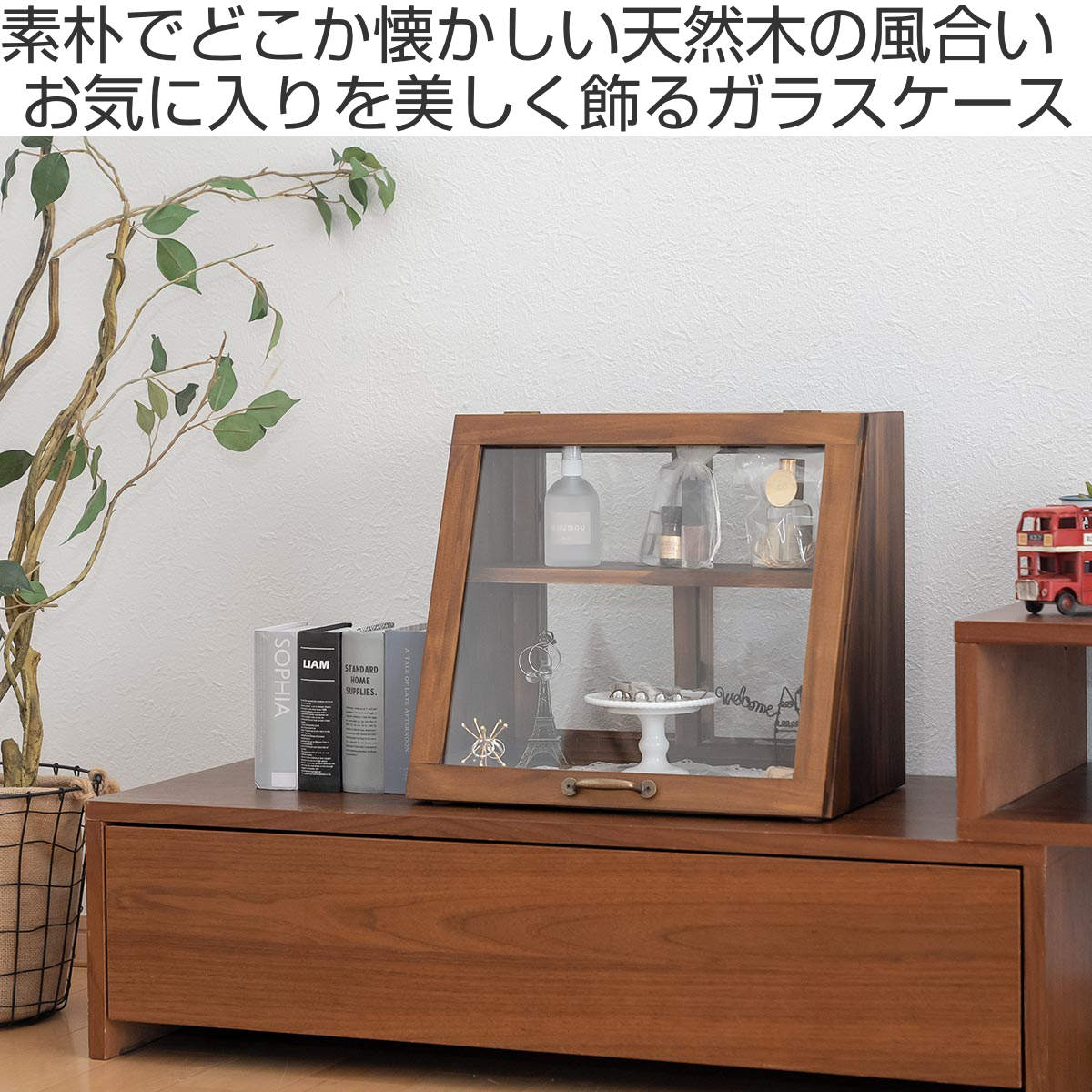 HAGiHARA（萩原） ガラスケース 幅40cm 2段 カウンター上収納 可動棚