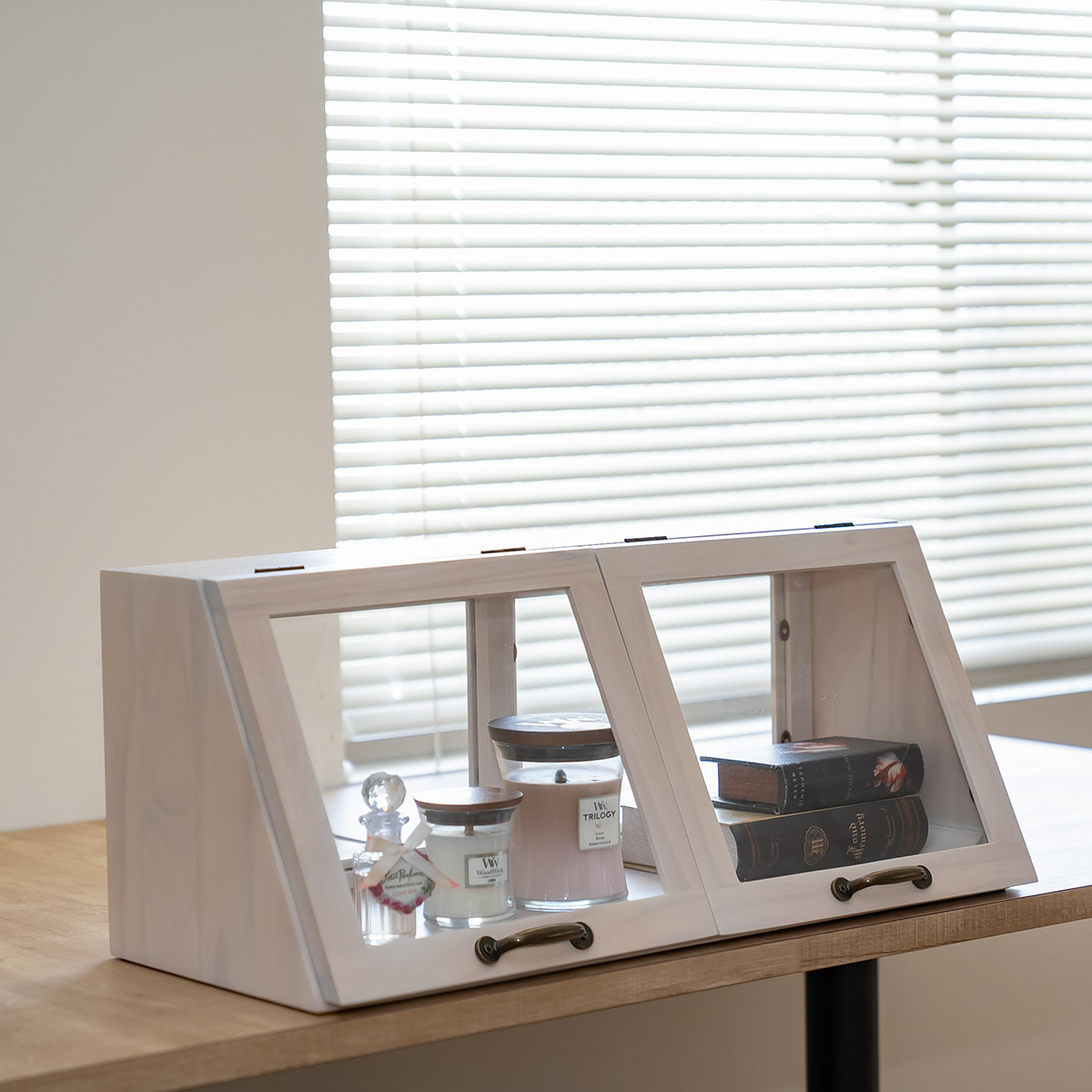 HAGiHARA（萩原） ガラスケース 幅60cm 1段 カウンター上収納 ラック