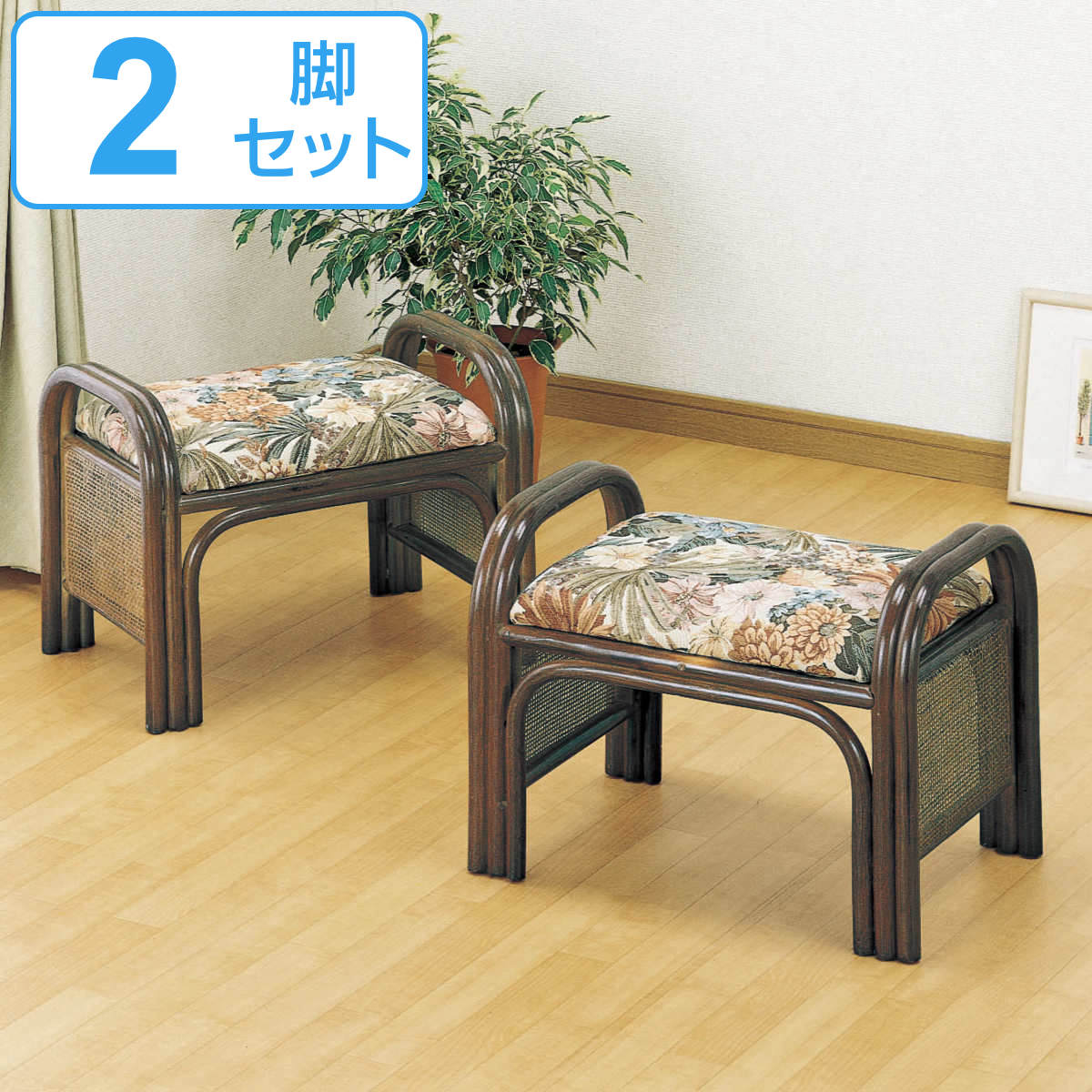 籐 楽々座椅子 ハイタイプ 2個組 座面高31cm （ 正座椅子 ラタンチェア