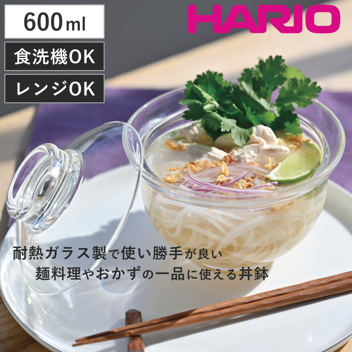 HARIO（ハリオ） 特典付き 丼鉢 ガラスの丼鉢 （ ガラス 耐熱ガラス 