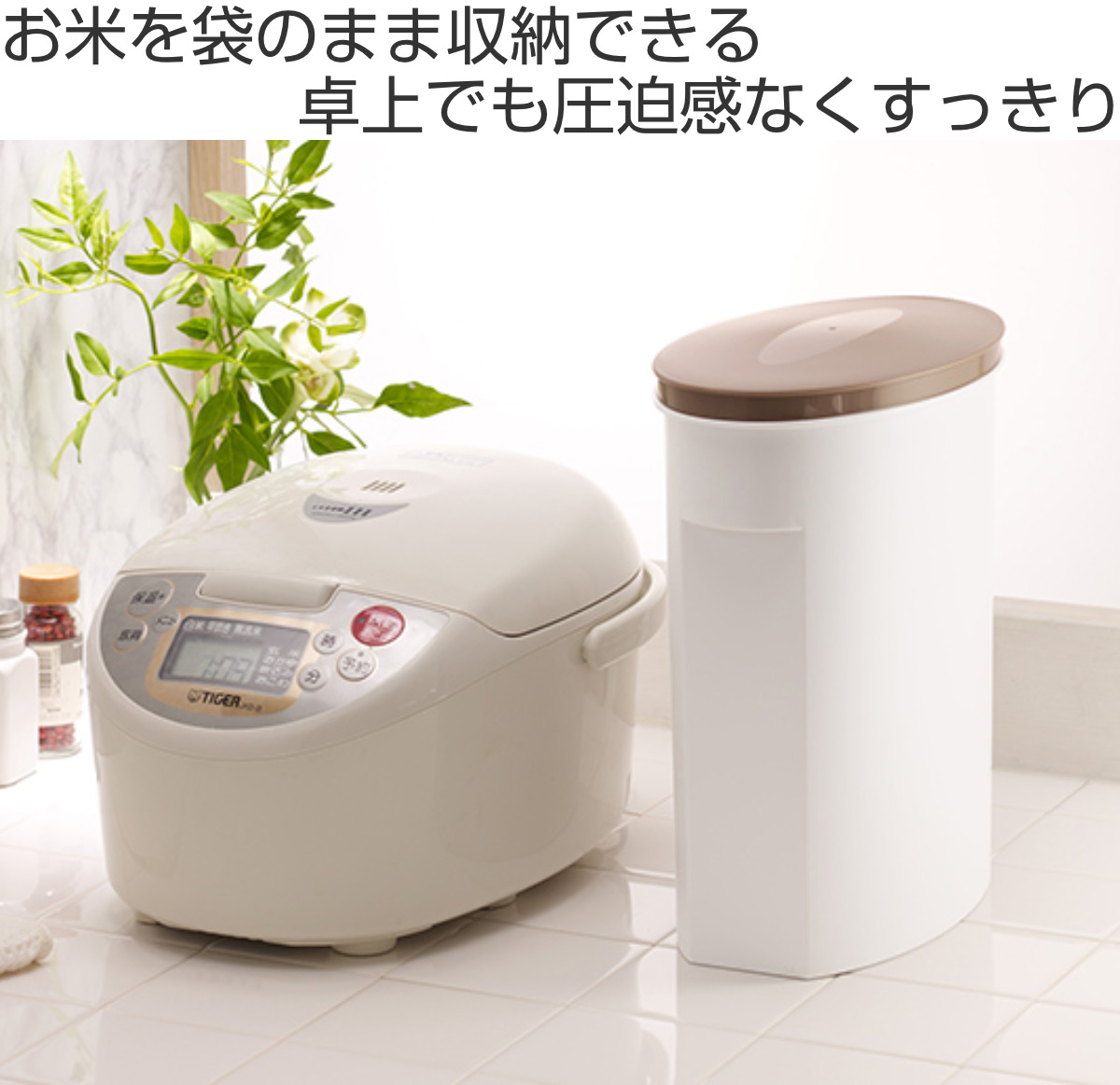 伊勢藤 米びつ 5kg お米袋そのまま保存ケース （ ライスストッカー 米