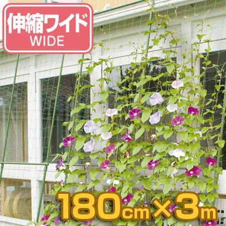 緑のカーテン 伸縮ワイド 幅180cm×高さ1.6〜3m （ グリーンカーテン 日