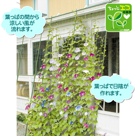 緑のカーテン 伸縮ワイド 幅180cm×高さ1.6〜3m （ グリーンカーテン 日