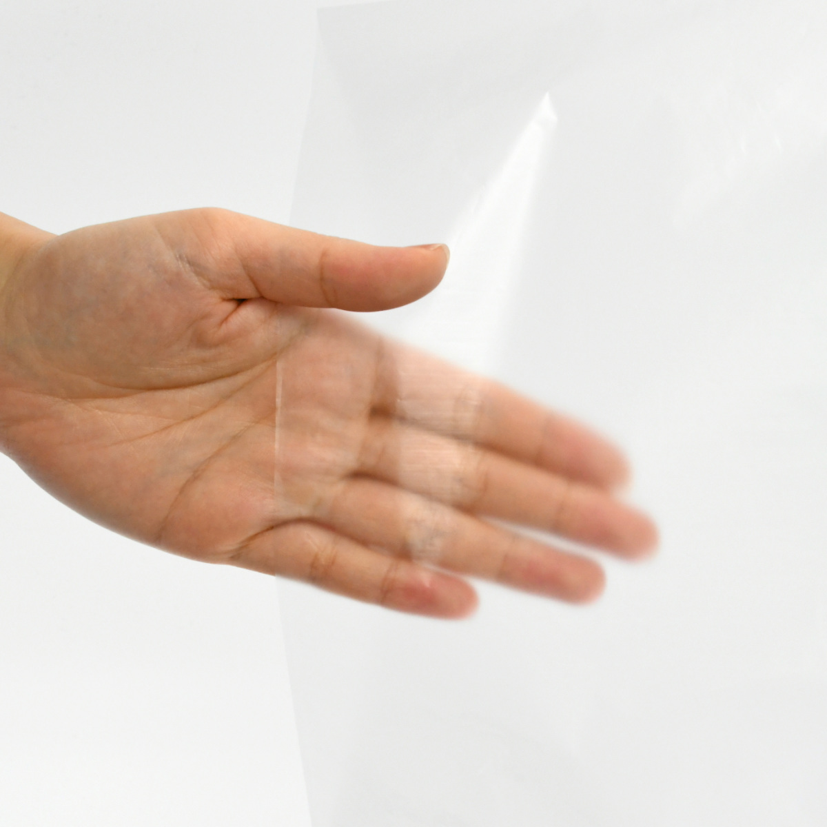 超レア物 今は無い日本光学のビニール袋とフィルター Amazon.co.jp