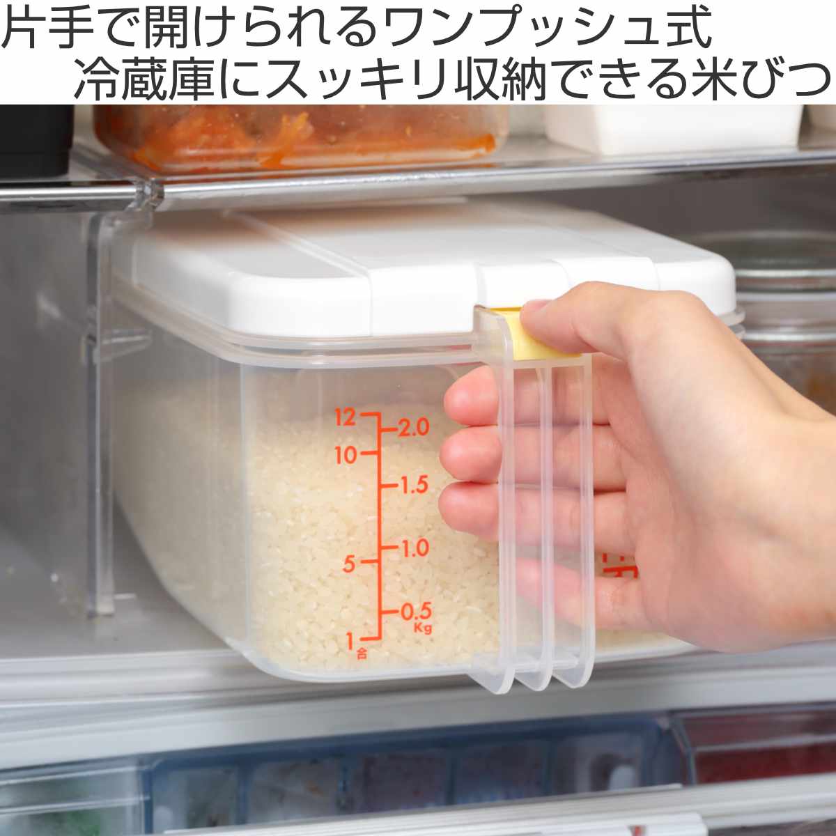 スケーター 米びつ 冷蔵庫用米びつ 横型 2.5kg （ 計量カップ付き