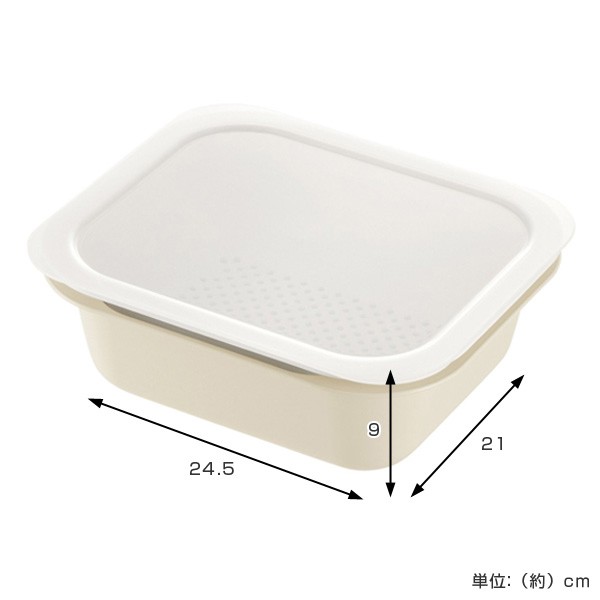 シャーリー ルー 角ランチプレート ３枚 磁器 食洗機・電子レンジ対応 日本製 imgrc0081814606.jpg