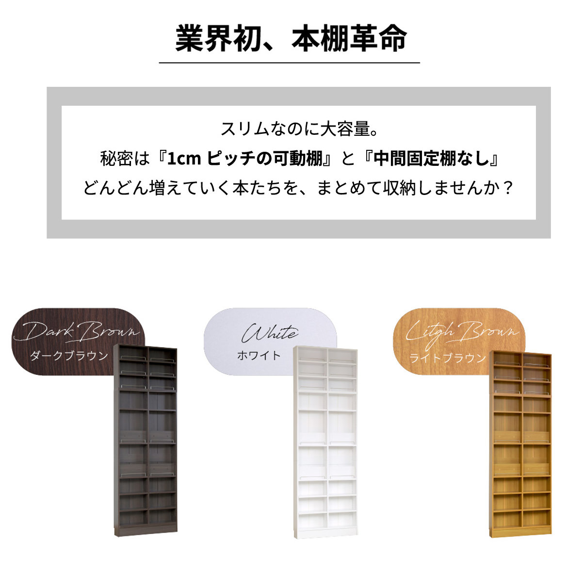 JK-PLAN（ジェイケイ・プラン） 本棚 幅81cm 上置きセット 1cmピッチ