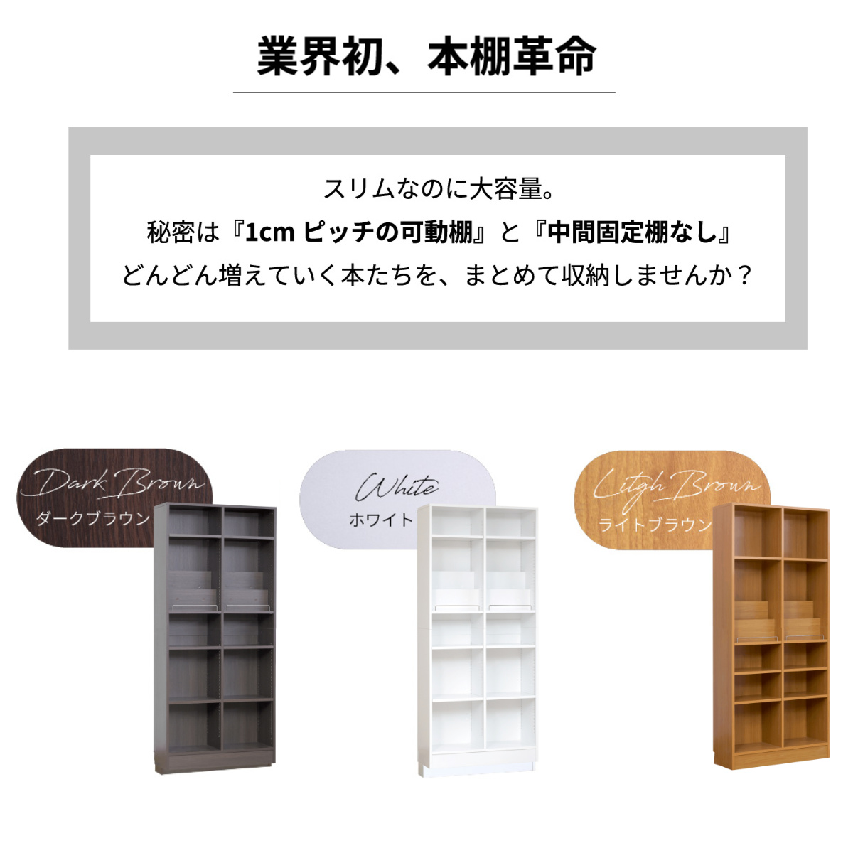 JK-PLAN（ジェイケイ・プラン） 本棚 幅81cm 1cmピッチ ディスプレイ