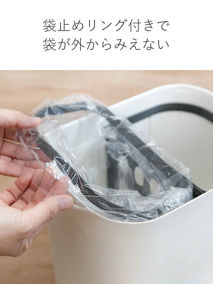 アスベル（ASVEL） ゴミ箱 15L 分別 ふた付き ホワイト （ ごみ箱 15