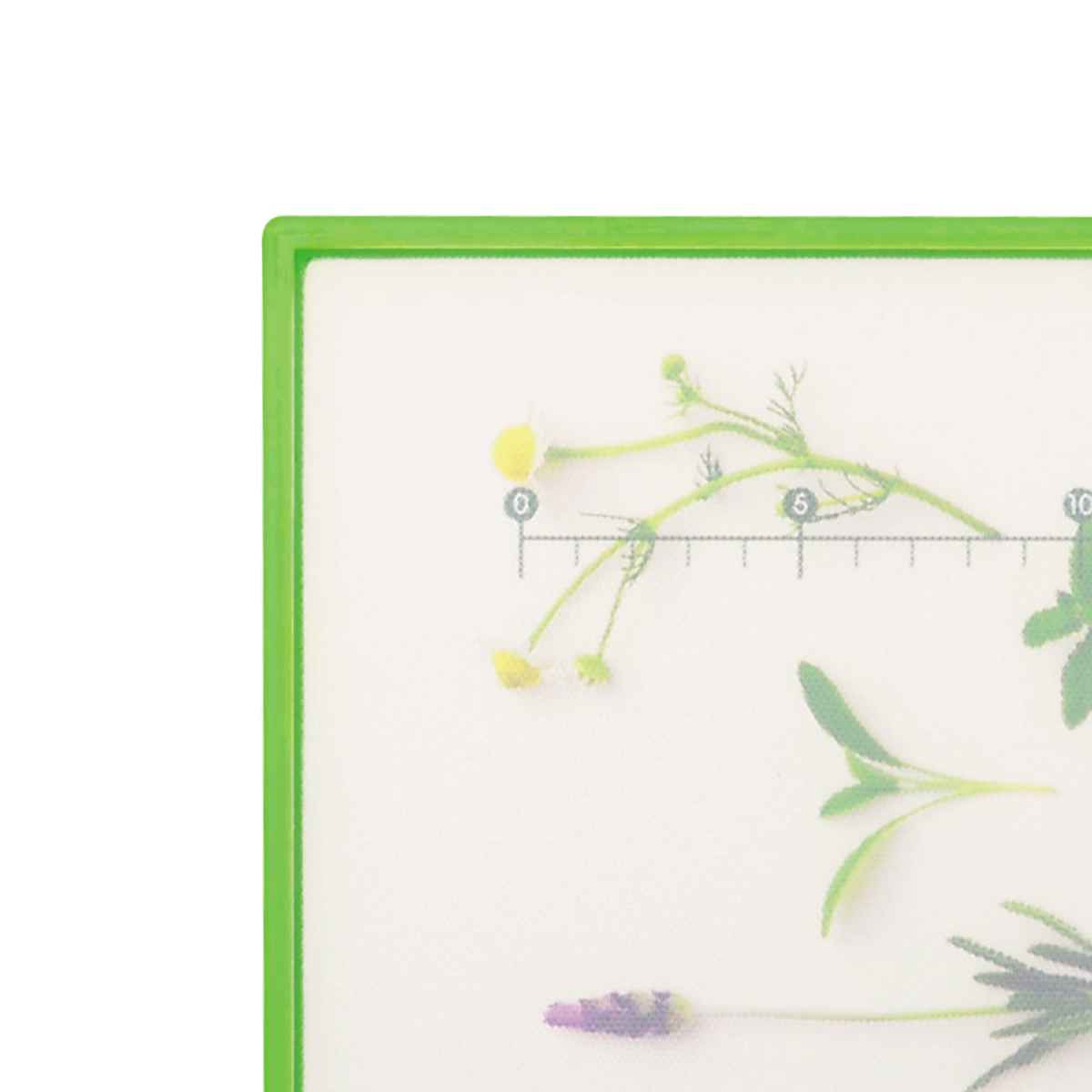 キッチン家電 MENTA 調理器具 m. キッチン家電 Minute cooker キッチン