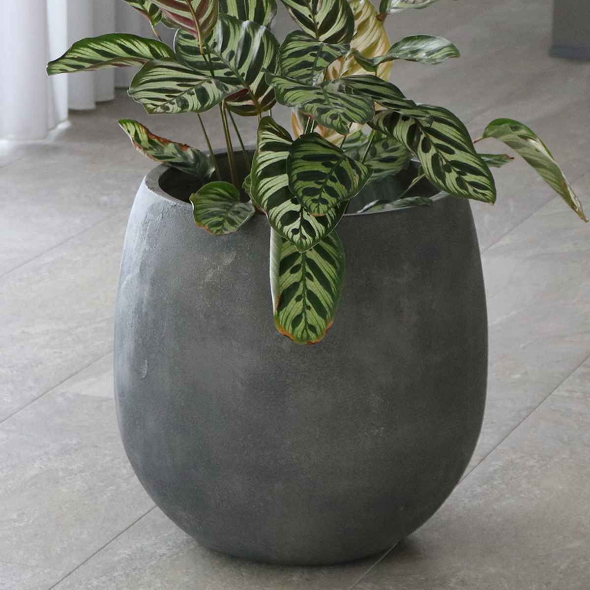 鉢カバー 大型（鉢、プランターカバー）｜鉢、プランター｜庭