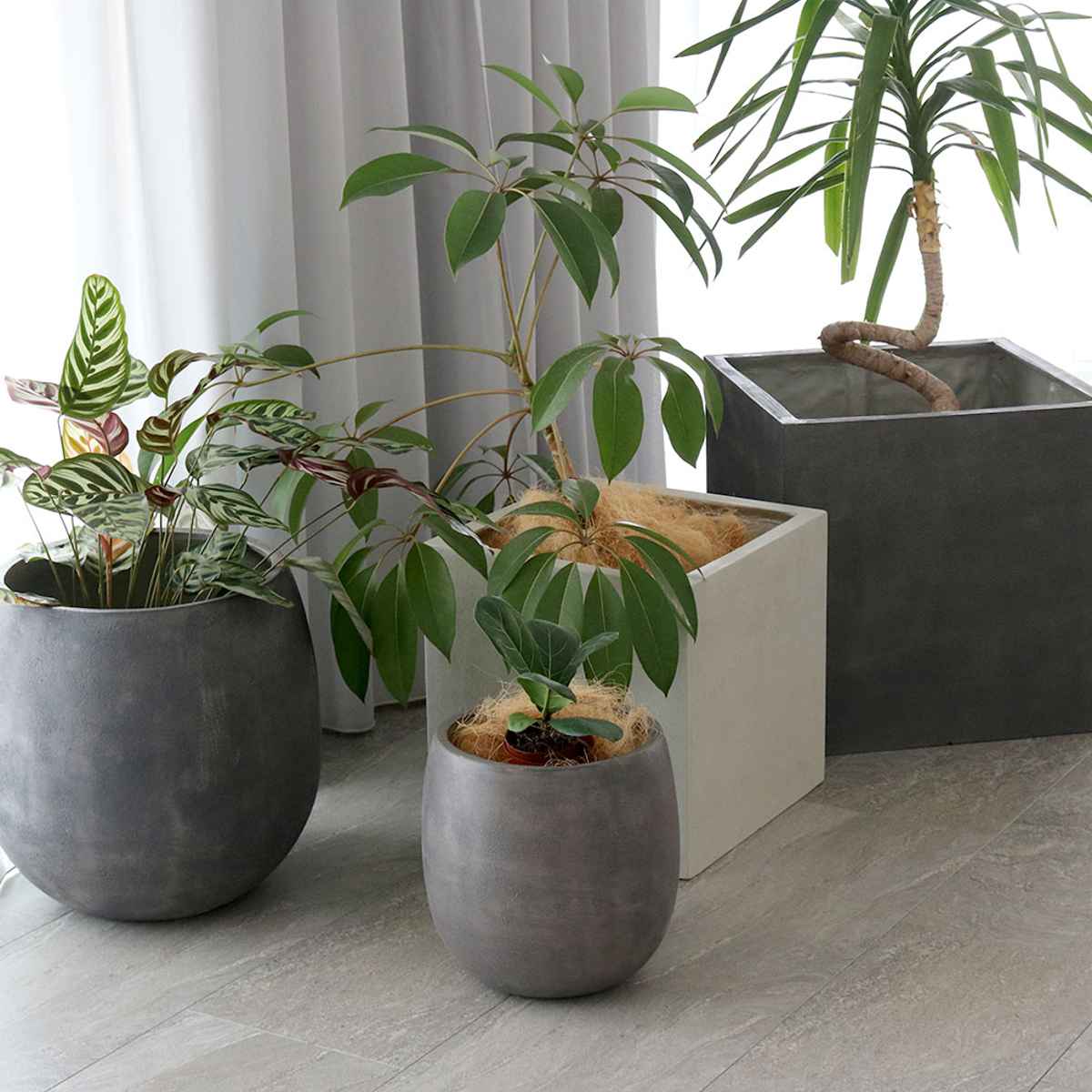 鉢カバーのおすすめ人気商品一覧 通販 - Yahoo!ショッピング