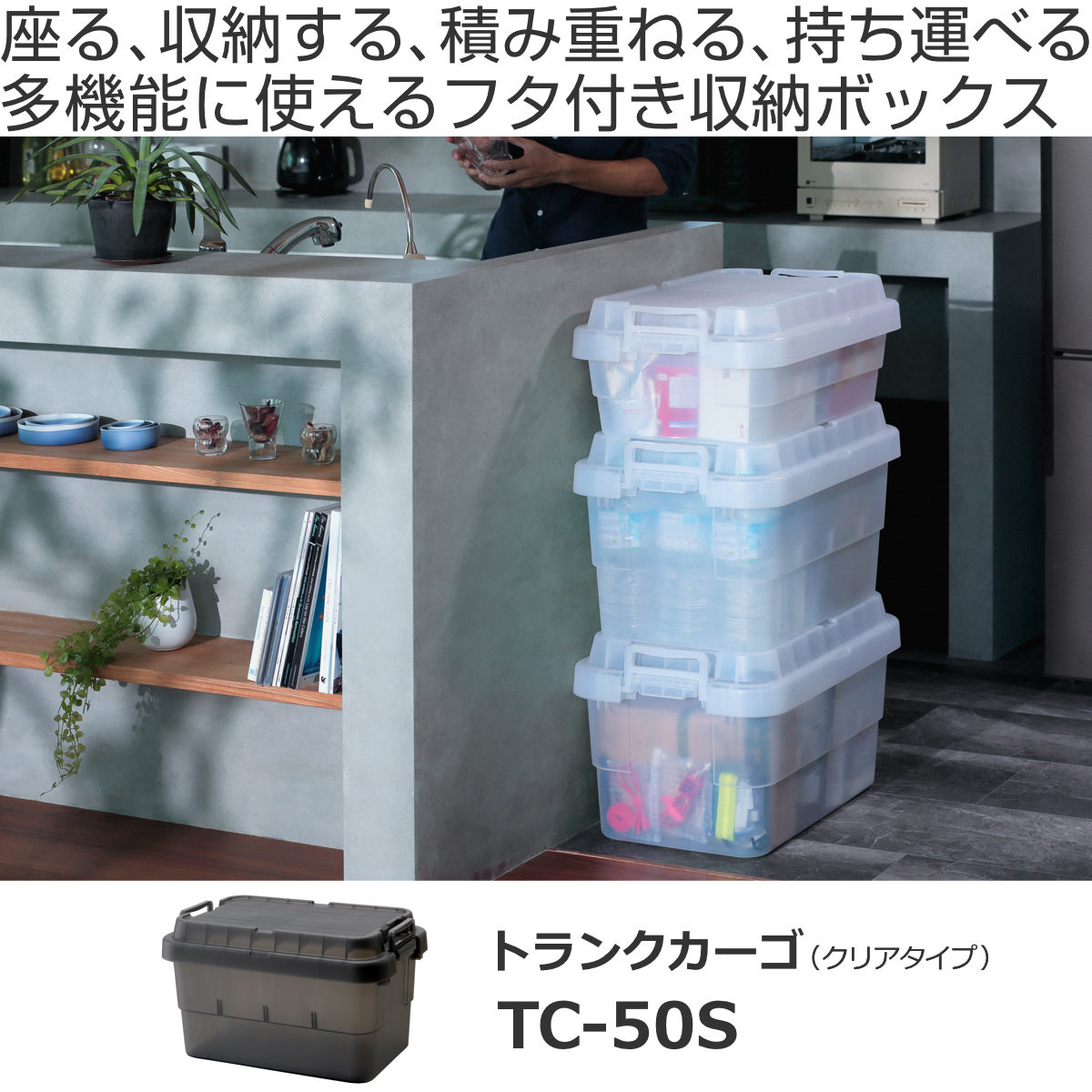 RISU（リス） 収納ボックス 幅60×奥行39×高さ35.7cm トランクカーゴ