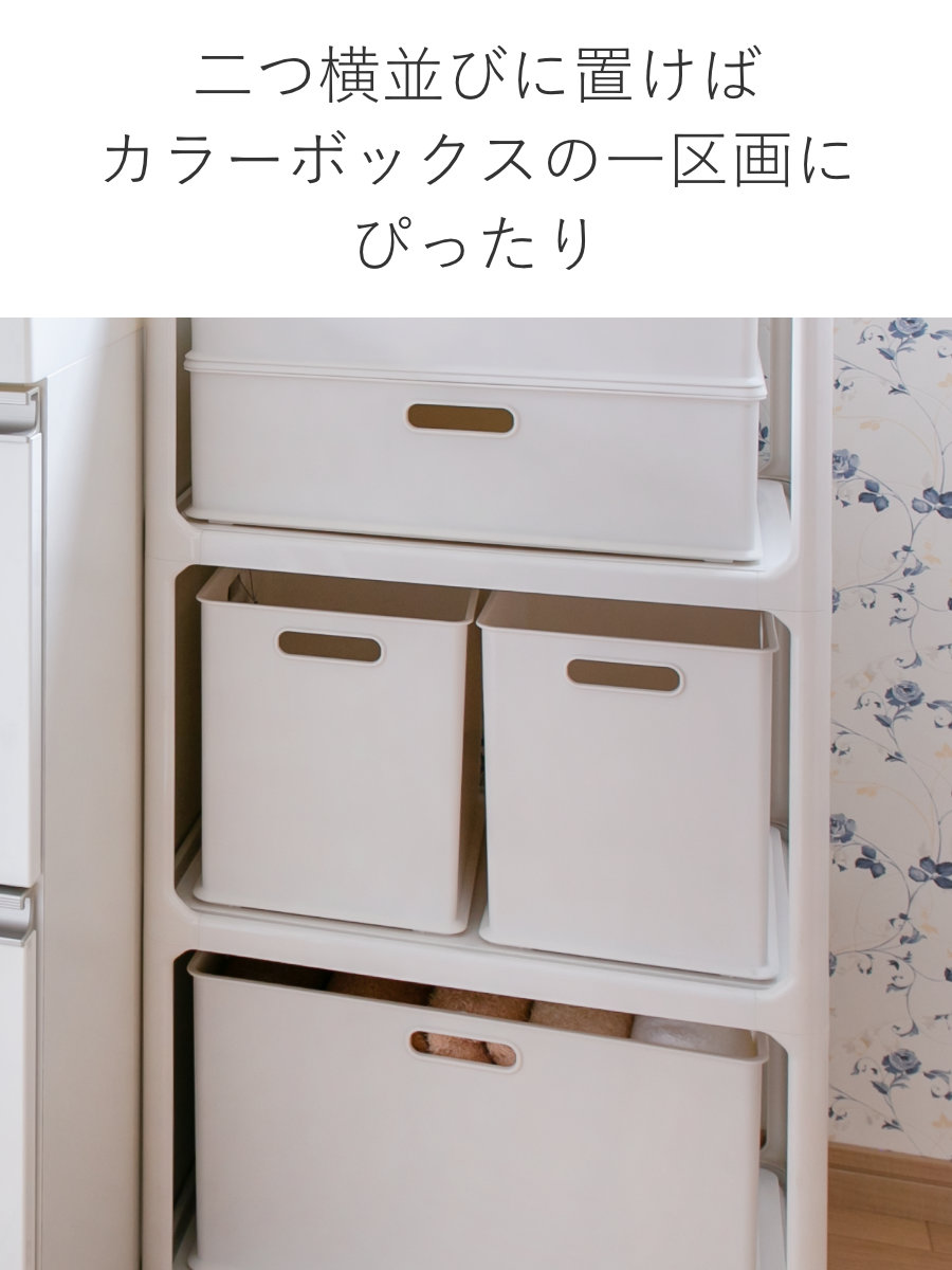 SANKA 収納ボックス 収納ケース ナチュラ インボックス SD