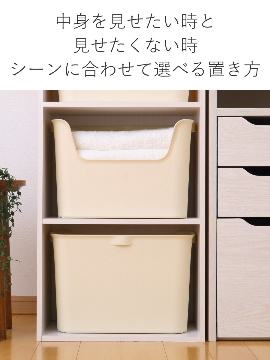 SANKA 収納ボックス カタス L カラーボックス インナーボックス