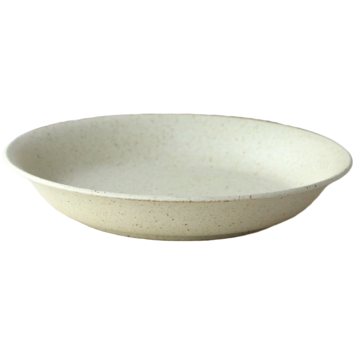 ネクスト（NEXT） 皿 サラリマットmino パスタ皿 22.5cm （ 磁器 美濃