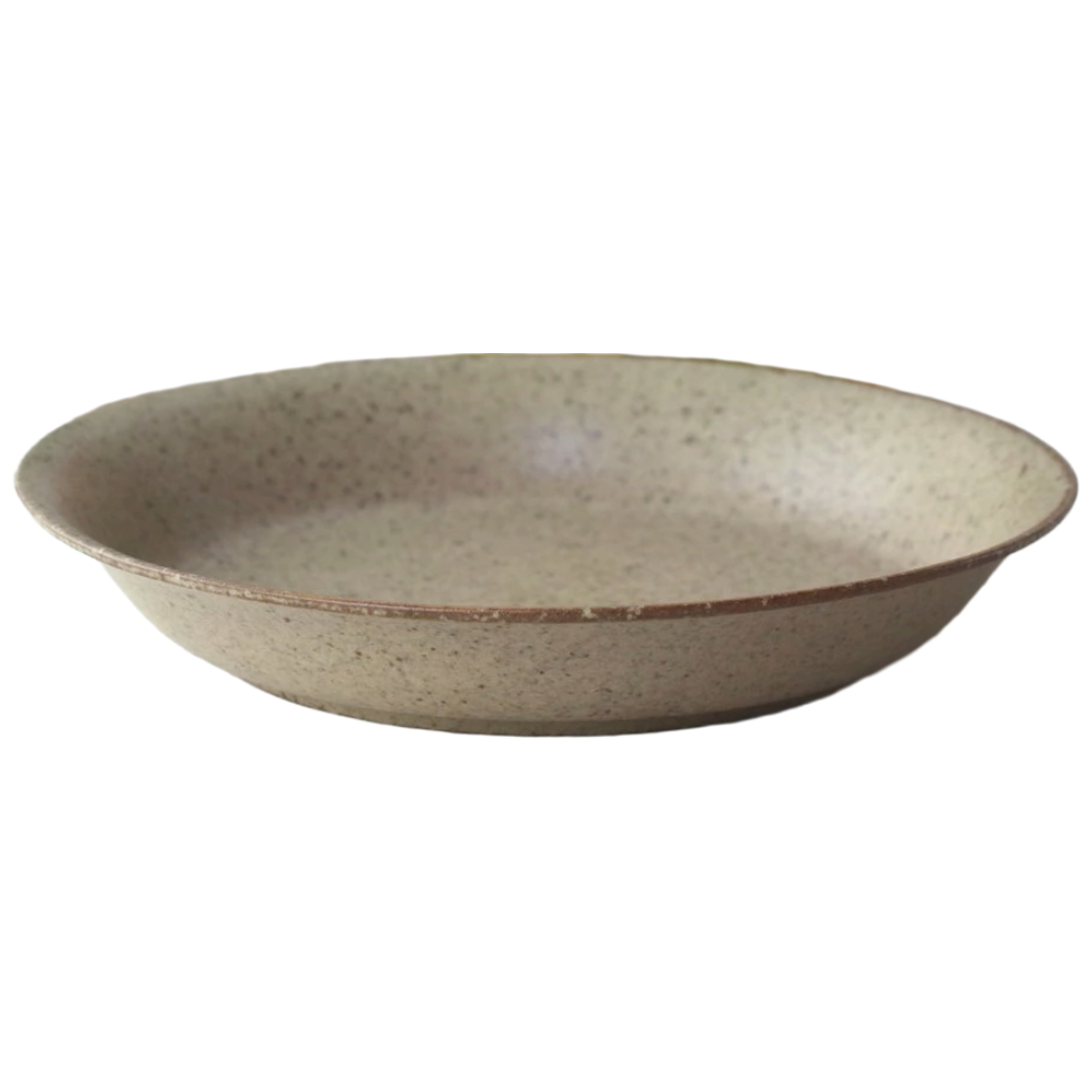 ネクスト（NEXT） 皿 サラリマットmino パスタ皿 22.5cm （ 磁器 美濃