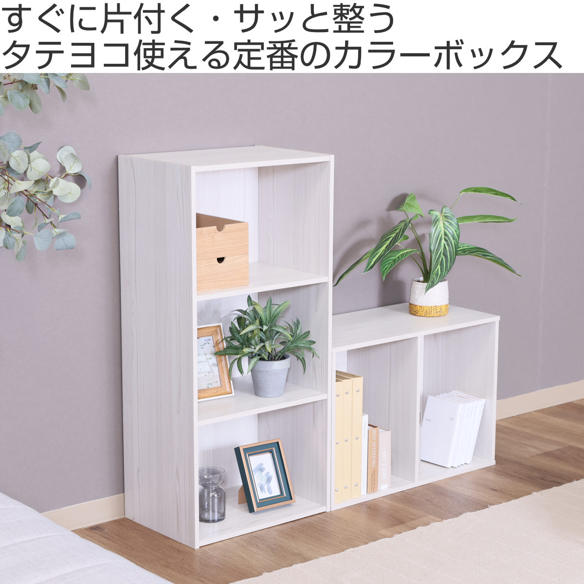 不二貿易（Fuji Boeki） カラーボックス 幅41.8cm 2段 収納棚 ラック