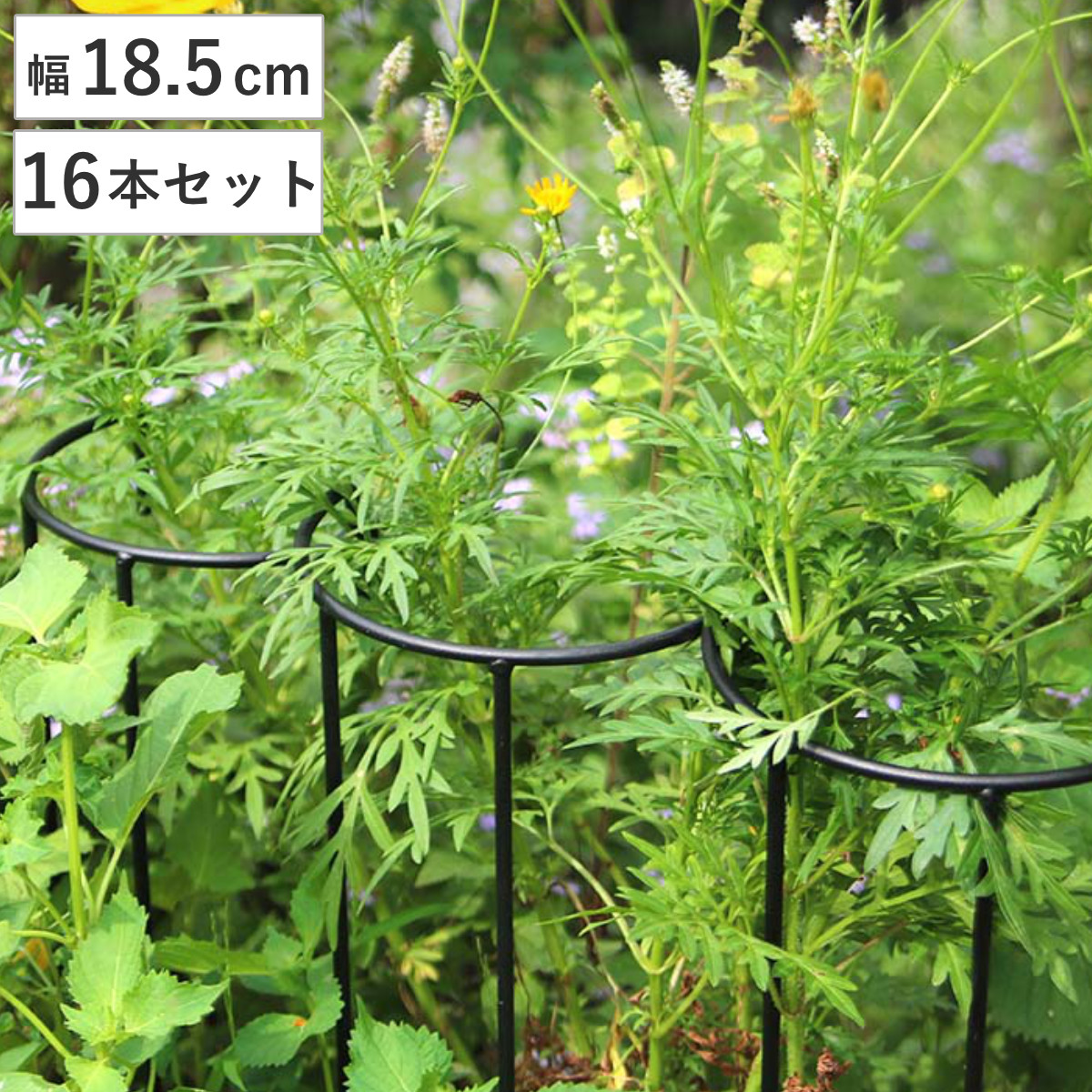 アイアン製植物サポーター幅18 16本セット （ 支柱 フラワースタンド 花壇 花 植物 支える サポーター 囲い アイアン 仕切り ガーデン ）
