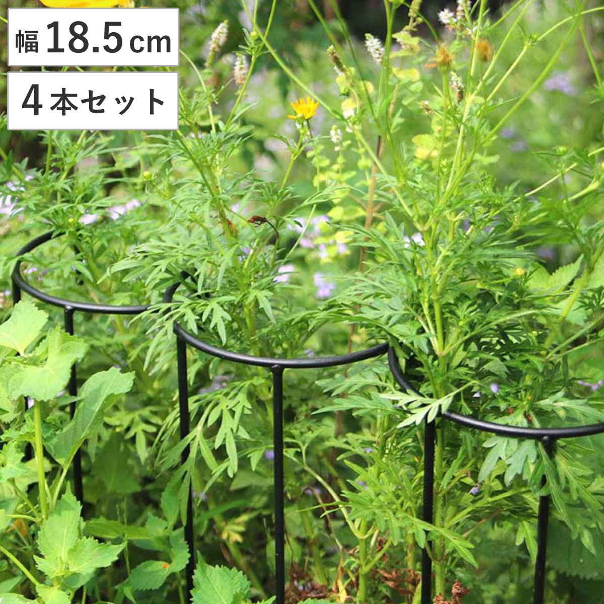 アイアン製植物サポーター幅18 4本セット （ 支柱 フラワースタンド 花壇 花 植物 支える サポーター 囲い アイアン 仕切り ガーデン ）