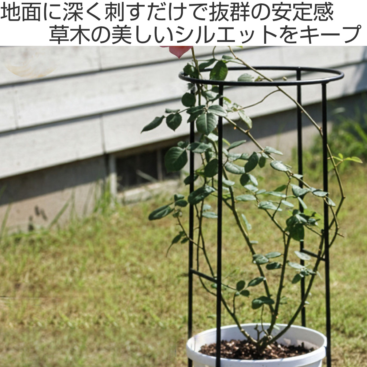 アイアン製植物サポーター幅25 4本セット （ 支柱 フラワースタンド