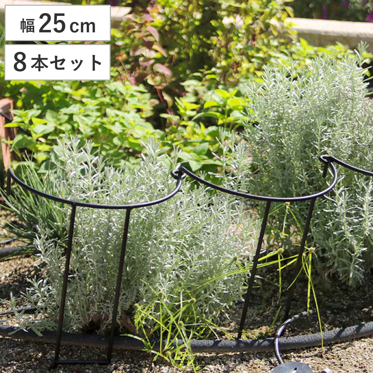 アイアン製植物サポーター幅25 8本セット （ 支柱 フラワースタンド 花壇 花 植物 支える サポーター 囲い アイアン 仕切り ガーデン ）
