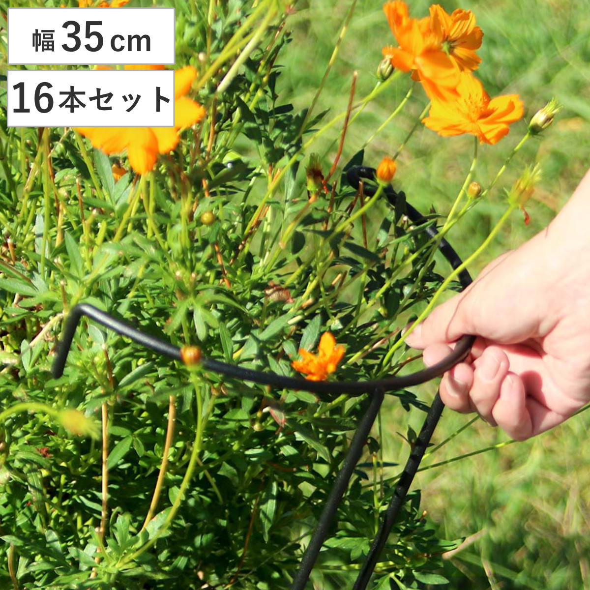 アイアン製植物サポーター幅35 16本セット （ 支柱 フラワースタンド 花壇 花 植物 支える サポーター 囲い アイアン 仕切り ガーデン ）