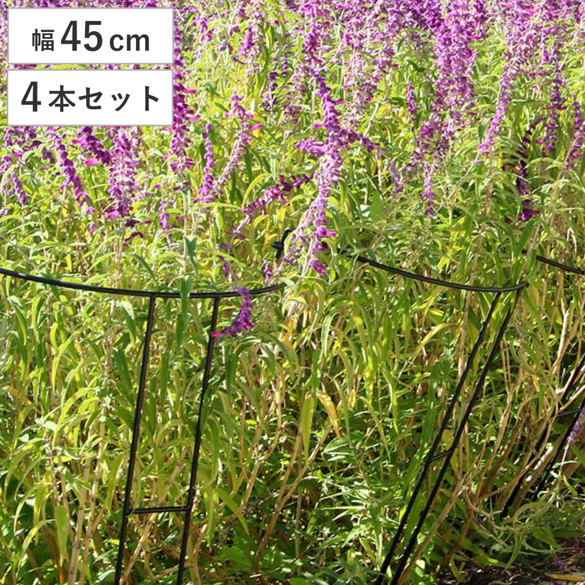 アイアン製植物サポーター幅45 4本セット （ 支柱 フラワースタンド 花壇 花 植物 支える サポーター 囲い アイアン 仕切り ガーデン ）
