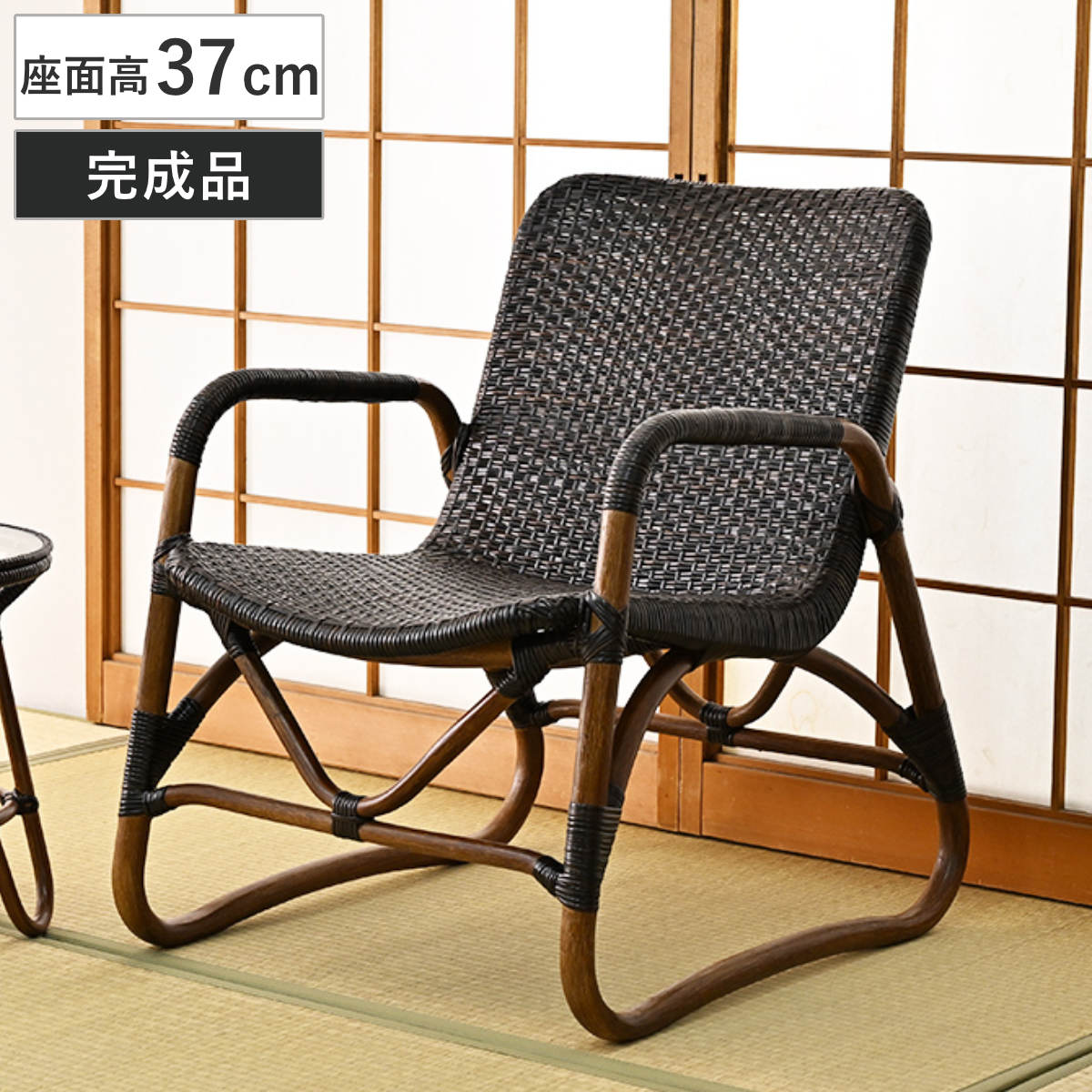 ���^�� �����֎q ���ʍ�58cm �� �V�R�f�� �I�|���t�� WAHOO �i �֎q ���֎q ���^���� �ِ� �و֎q �Ƌ� �a���_�� �����i �j