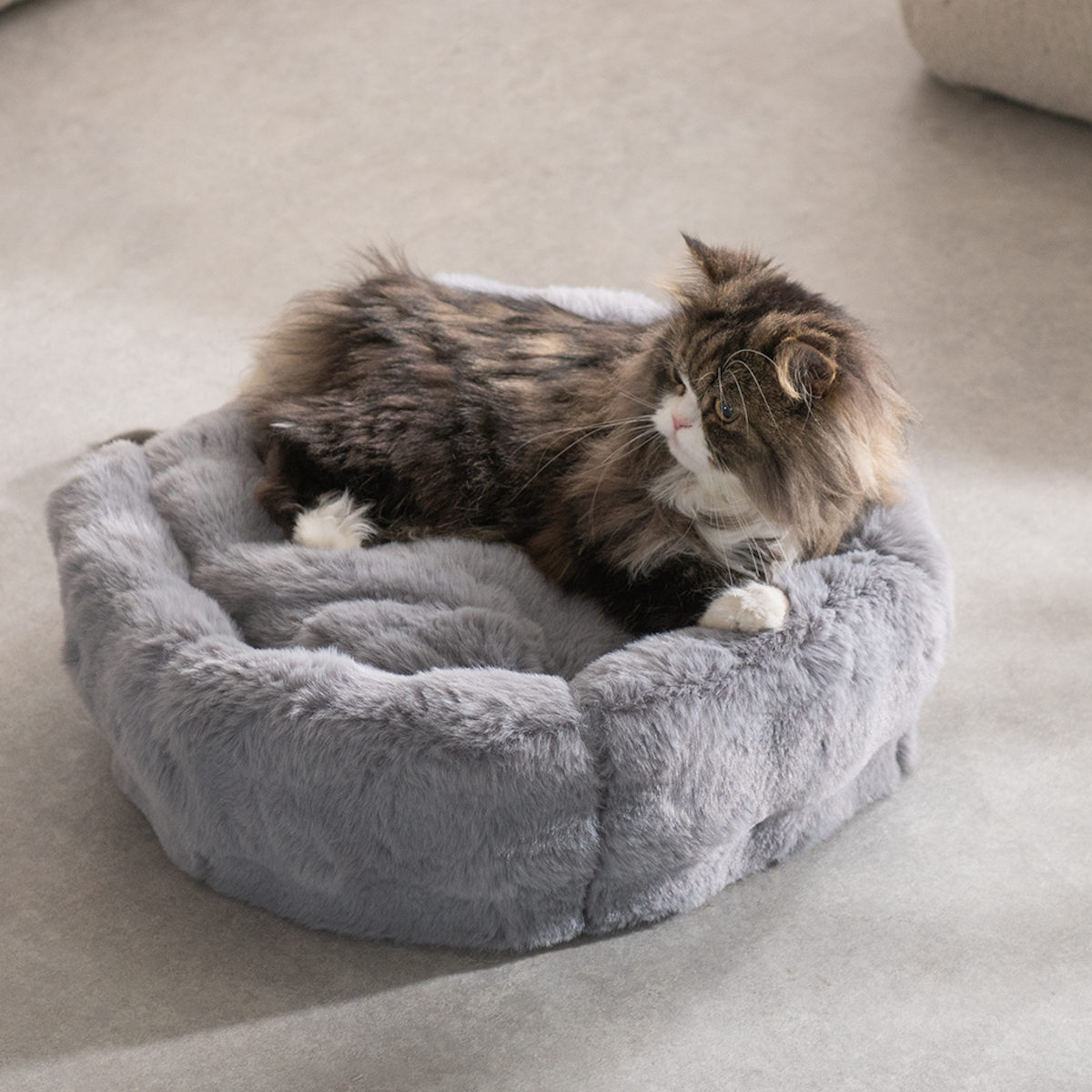 宮武製作所 ペットベッド Foure 2WAY 大 （ ペット用ベッド 犬用品 猫